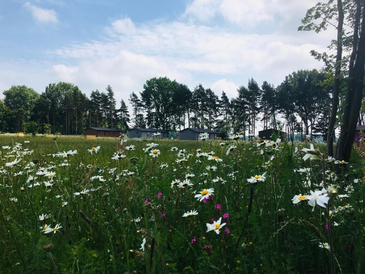 Hollicarrs - Wildflower Lodge Йорк Экстерьер фото