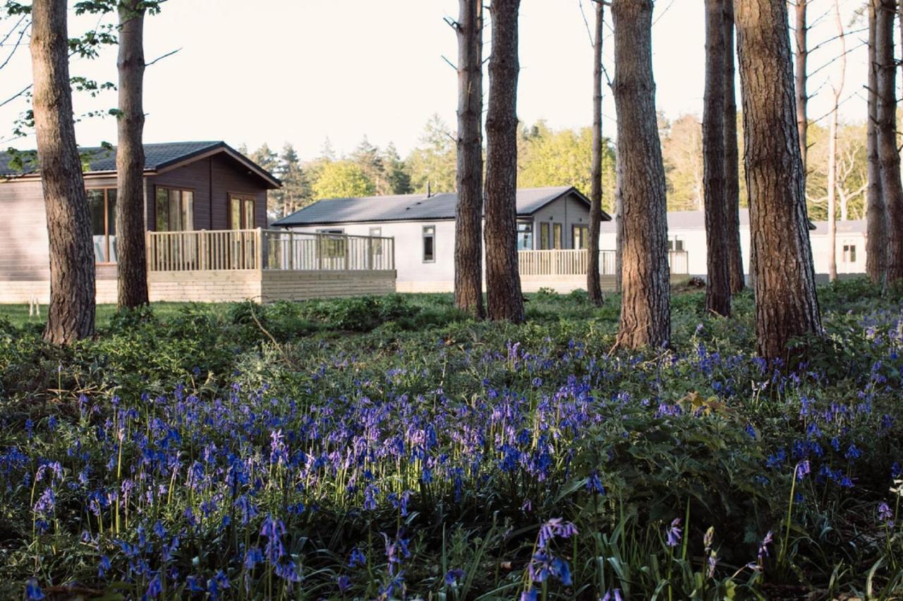 Hollicarrs - Wildflower Lodge Йорк Экстерьер фото