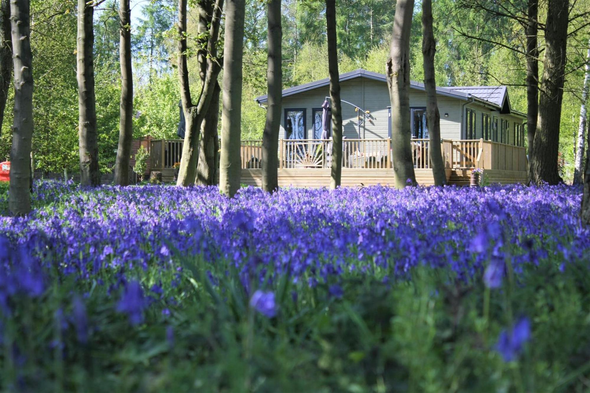 Hollicarrs - Wildflower Lodge Йорк Экстерьер фото