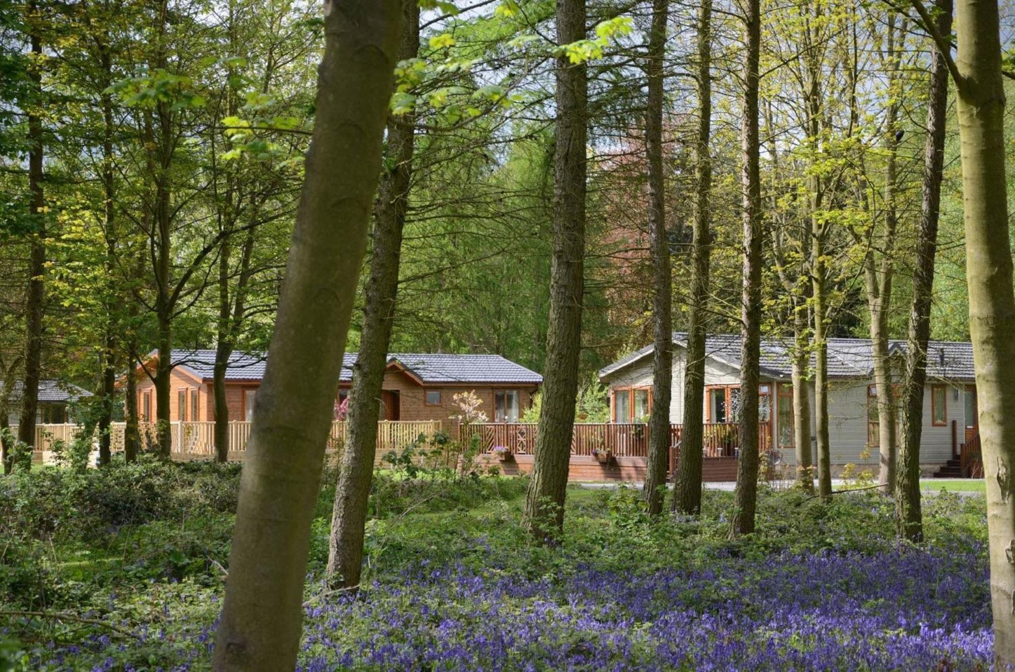 Hollicarrs - Wildflower Lodge Йорк Экстерьер фото